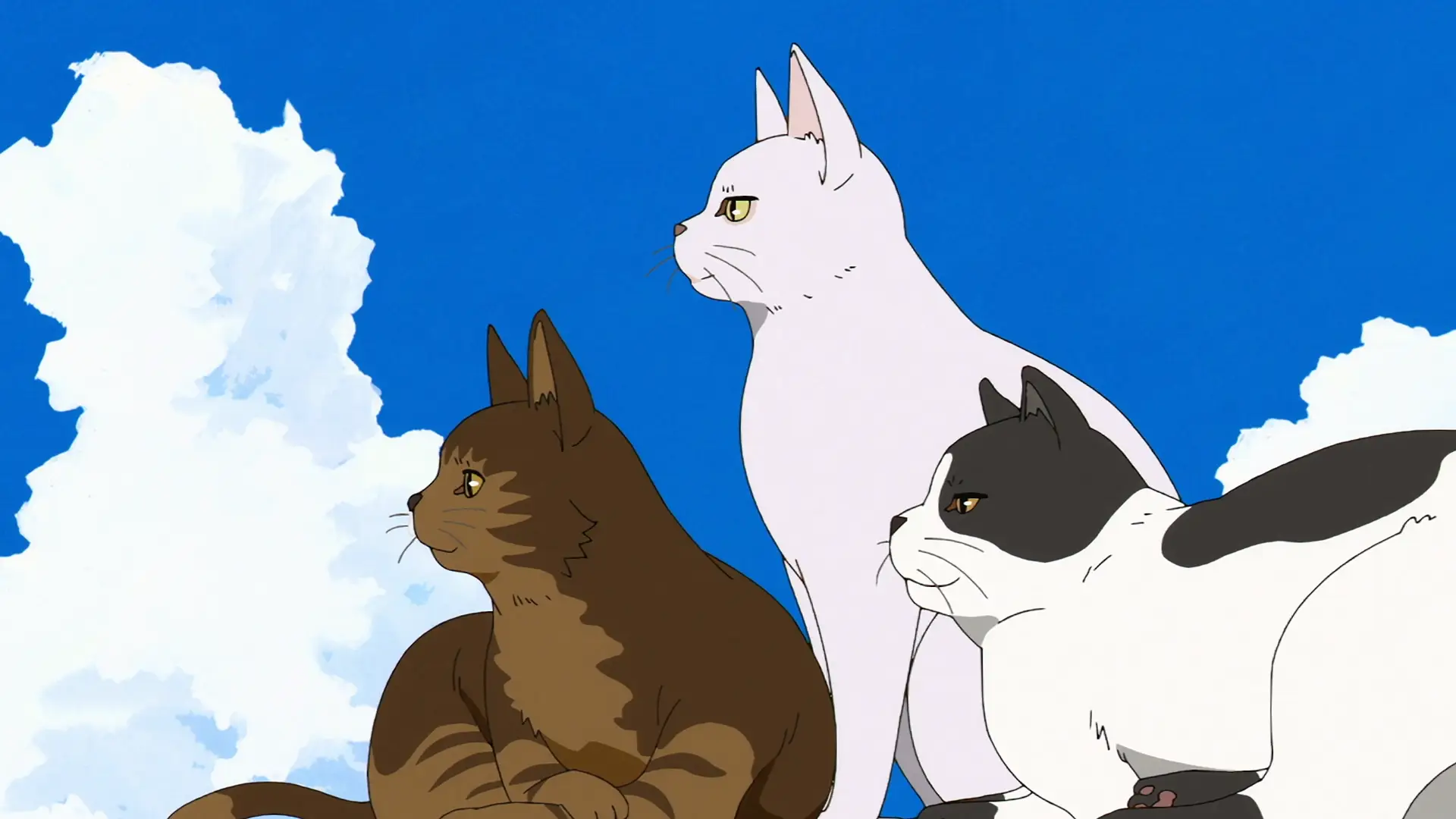 Screenshot of a scene from the anime Sonny Boy, from episode 9 at timestamp 14:51